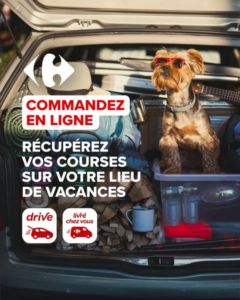 Carrefour Meta ad creative
